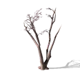 0x005568e3!0x000000000005568e.0x3c2a8647.png