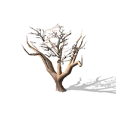 0x00556903!0x0000000000055690.0x3c2a8647.png