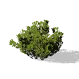 0x005569f3!0x000000000005569f.0x3c2a8647.png