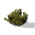 0x00556a03!0x00000000000556a0.0x3c2a8647.png