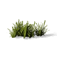 0x00557c03!0x00000000000557c0.0x3c2a8647.png