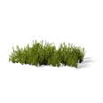 0x00557c13!0x00000000000557c1.0x3c2a8647.png