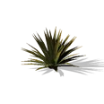 0x00557fe3!0x00000000000557fe.0x3c2a8647.png