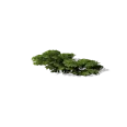 0x005583e3!0x000000000005583e.0x3c2a8647.png
