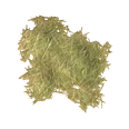 0x0055b693!0x0000000000055b69.0x3c2a8647.png