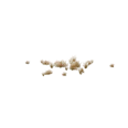 0x0055c423!0x0000000000055c42.0x3c2a8647.png