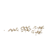 0x0055c433!0x0000000000055c43.0x3c2a8647.png