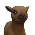 0x0055e093!0x0000000000055e09.0x3c2a8647.png