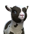 0x0055e443!0x0000000000055e44.0x3c2a8647.png
