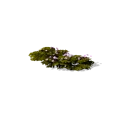 0x0055f303!0x0000000000055f30.0x3c2a8647.png