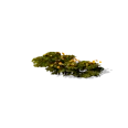 0x0055f313!0x0000000000055f31.0x3c2a8647.png