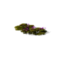 0x005636a3!0x000000000005636a.0x3c2a8647.png