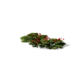 0x005636d3!0x000000000005636d.0x3c2a8647.png