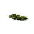 0x005636e3!0x000000000005636e.0x3c2a8647.png