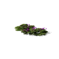 0x00565b23!0x00000000000565b2.0x3c2a8647.png