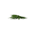 0x00566793!0x0000000000056679.0x3c2a8647.png