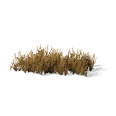0x00569fa3!0x00000000000569fa.0x3c2a8647.png