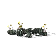 0x0056a723!0x0000000000056a72.0x3c2a8647.png
