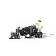 0x0056af53!0x0000000000056af5.0x3c2a8647.png