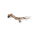 0x0057eec3!0x0000000000057eec.0x3c2a8647.png
