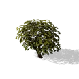 0x00581553!0x0000000000058155.0x3c2a8647.png
