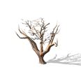0x00581573!0x0000000000058157.0x3c2a8647.png