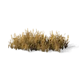 0x005815a3!0x000000000005815a.0x3c2a8647.png