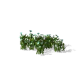 0x005874d3!0x000000000005874d.0x3c2a8647.png
