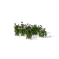 0x00587543!0x0000000000058754.0x3c2a8647.png