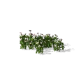 0x00587553!0x0000000000058755.0x3c2a8647.png