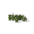 0x00587563!0x0000000000058756.0x3c2a8647.png