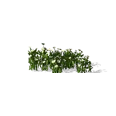 0x00587573!0x0000000000058757.0x3c2a8647.png