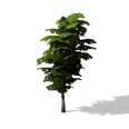 0x00588ff3!0x00000000000588ff.0x3c2a8647.png