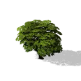 0x005aa1d3!0x000000000005aa1d.0x3c2a8647.png