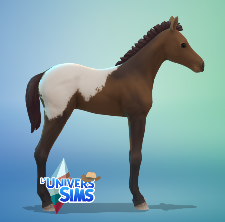 TS4_x64_PVLOySqn1e2.png