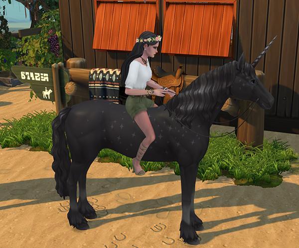 pas d'équipement d'équitation waffle et shoobysims présenté luniversims.fr.jpg