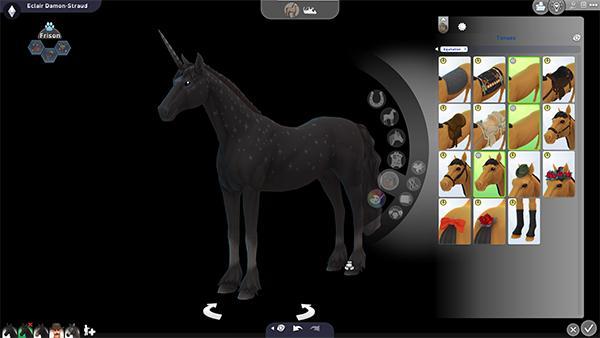 pas d'équipement d'équitation waffle et shoobysims présenté luniversims.fr2.jpg