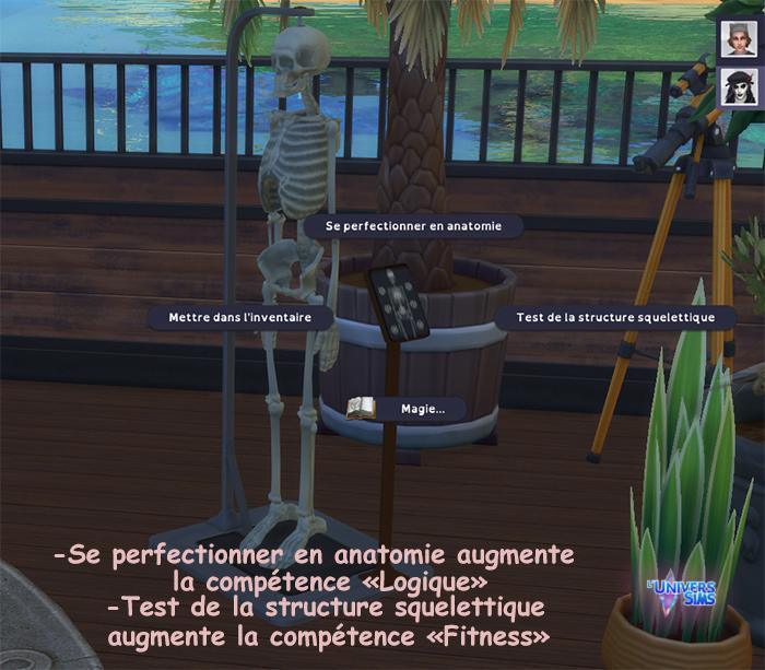 Cepzid squelette anatomique TS3-TS4-luniversims.fr1bis.jpg