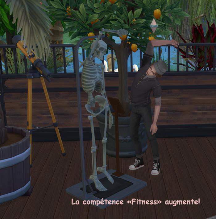 Cepzid squelette anatomique TS3-TS4-luniversims.fr2.jpg