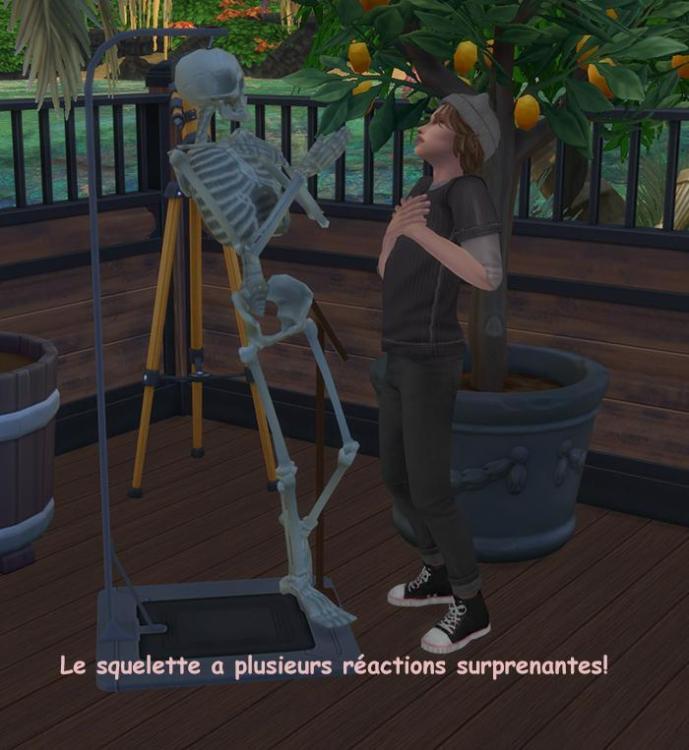 Cepzid squelette anatomique TS3-TS4-luniversims.fr4.jpg