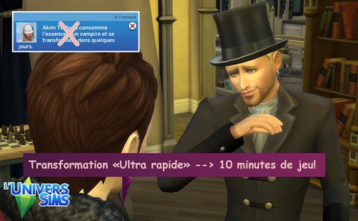 Hiberner pendant la transformation ou tranf. rapide -mods de Laurelie présenté par luniversims.fr-2.jpg