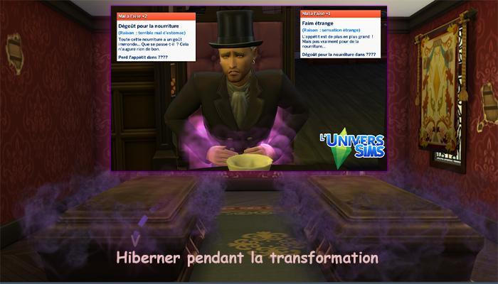 Hiberner pendant la transformation, un mod de Laurelie présenté par luniversims.fr.jpg