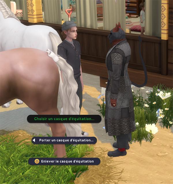 Mettre ou enlever le casque d'équitation1.jpg