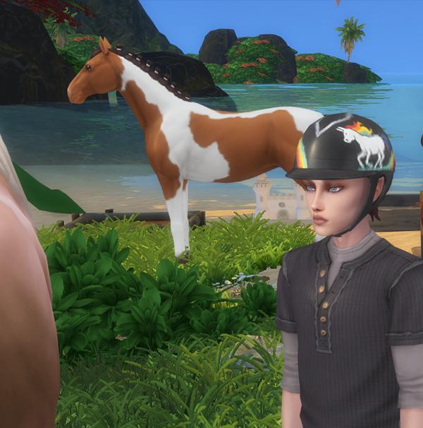 Mettre ou enlever le casque d'équitation4.jpg
