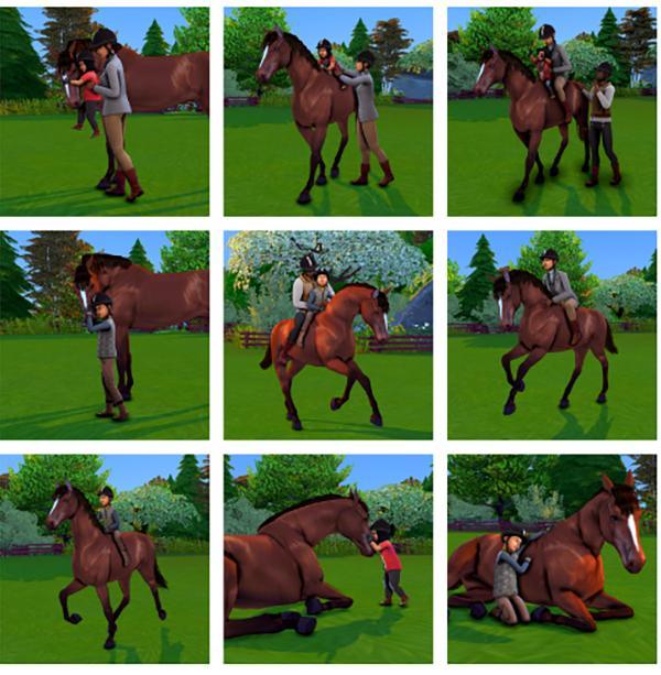 Poses avec le poney, les bambins prennent la pose,SnarkyWitch.jpg
