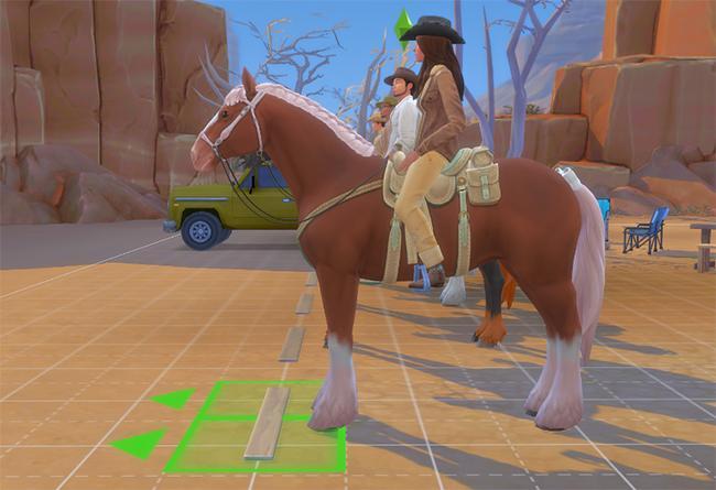 BALISAGE pour chevaux présenté par Luniversims.fr1.jpg