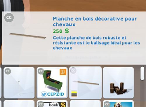 BALISAGE pour chevaux présenté par Luniversims.fr2.jpg