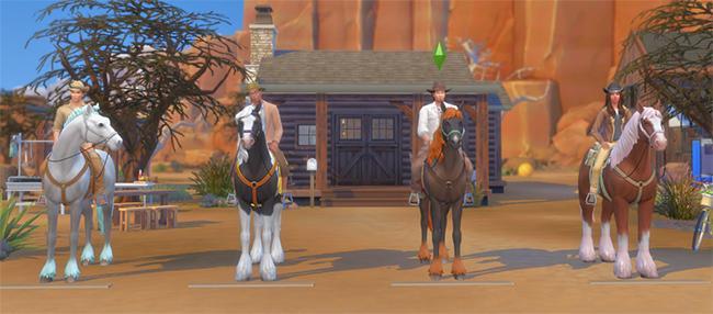 BALISAGE pour chevaux présenté par Luniversims.fr4.jpg