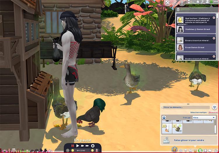 Poussin et maman poussin à collectionner en nettoyant le poulailler-surelysims-waffle.jpg