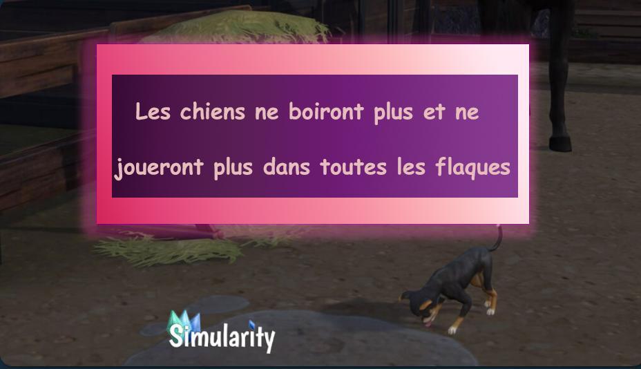 stop boire et peur des chiens simularity mods.jpg